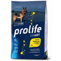 DOG PROLIFE SMART ADULT MED/LARGE POLLO RISO 12KG